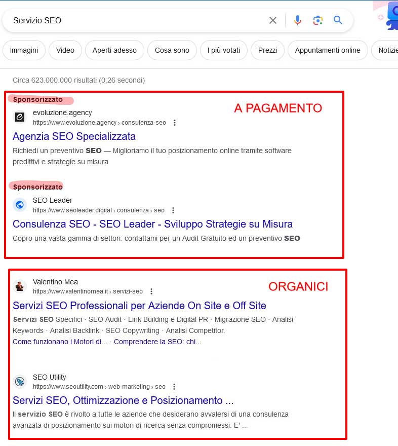 Screenshot della query servizi SEO dove vengono evidenziati i risultati della SERP Organici e a pagamento